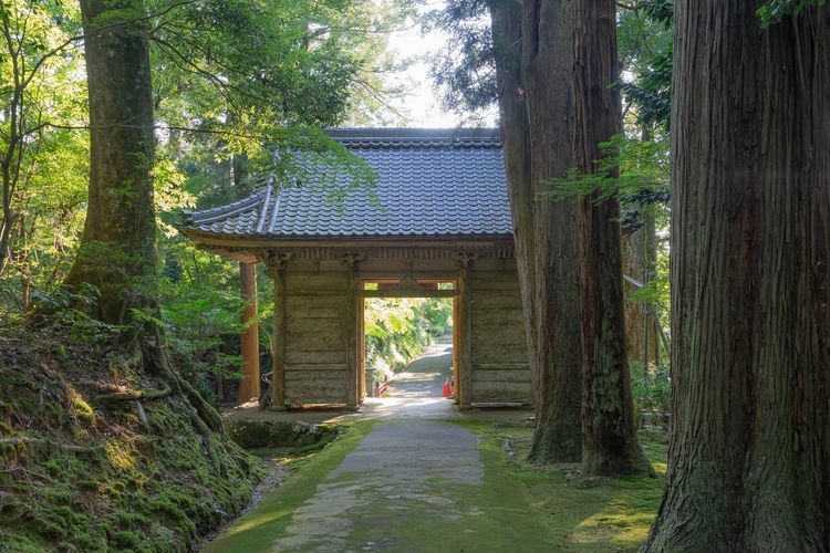 Myoraku-ji Temple