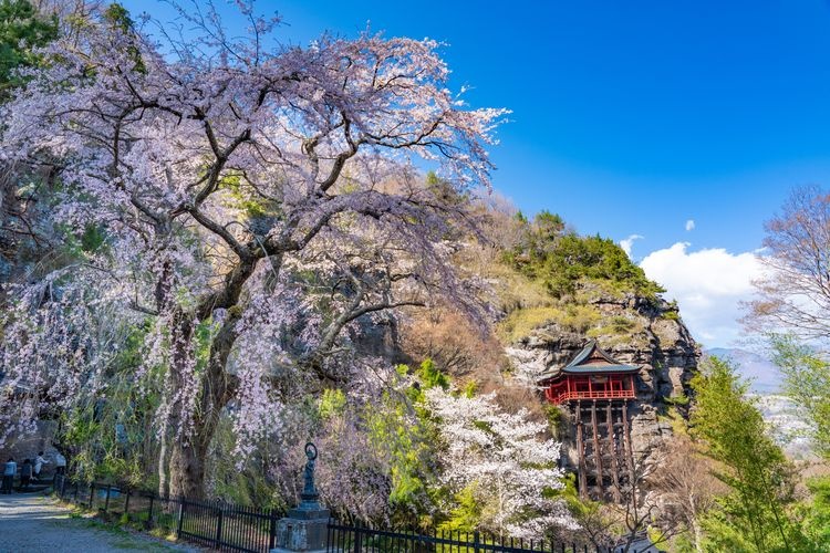 Tourist destination images of Jakujō-ji Temple(4)