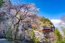 Tourist destination images of Jakujō-ji Temple(4)