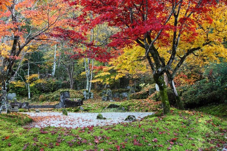 Josho-ji Temple