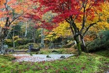 Tourist destination images of Josho-ji Temple(1)