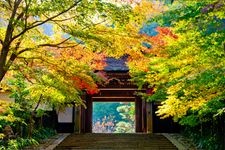 Tourist destination images of Josho-ji Temple(6)