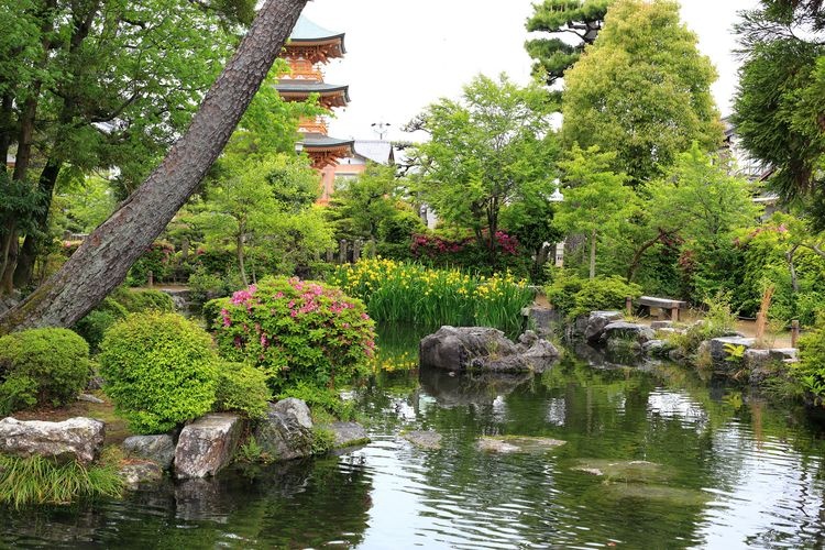 Enkyoji Temple