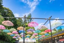 Tourist destination images of Hottasan Sonenji Temple(1)