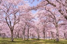 Tourist destination images of Oishi-ji Temple(2)