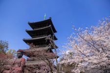 Tourist destination images of Koushouji Temple(3)