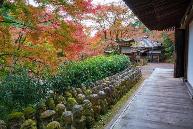 Otagi Nenbutsu-ji Temple