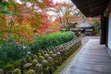 Tourist destination images of Otagi Nenbutsu-ji Temple(1)