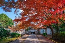 Tourist destination images of Yogen-in Temple(1)