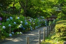 Tourist destination images of Kyu-anji Temple(3)