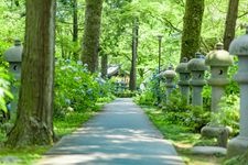 Tourist destination images of Kyu-anji Temple(4)