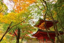 Tourist destination images of Daiitoku-ji Temple(3)