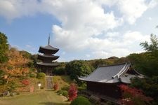如意寺の観光地画像(3)