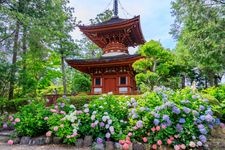 Tourist destination images of Kumedera Temple(3)