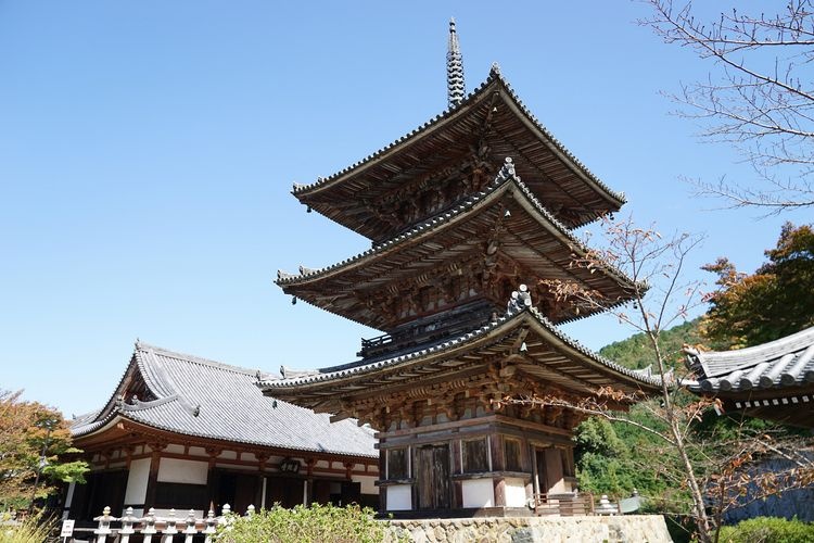 Tsubosaka-dera Temple (Nan Hoke-ji Temple)