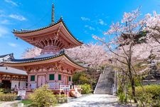 Tourist destination images of Tsubosaka-dera Temple (Nan Hoke-ji Temple)(2)