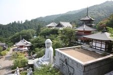 Tourist destination images of Tsubosaka-dera Temple (Nan Hoke-ji Temple)(4)