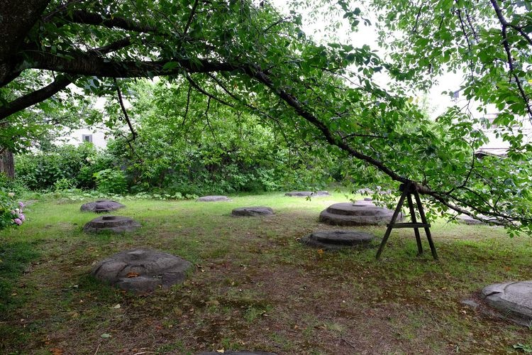 Historical Site: Former Gangō-ji Pagoda Site