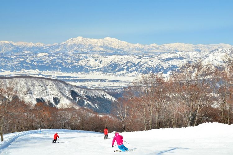 Nozawa Onsen Ski Resort