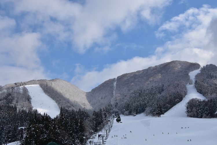 노자와 온천 스키장 (Nozawa Onsen Ski Resort) 2