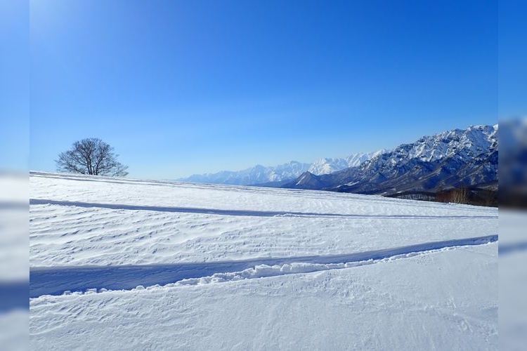 Togakushi Ski Resort