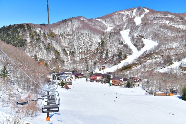 Shiga Kogen Resort Central Area Ski Resort