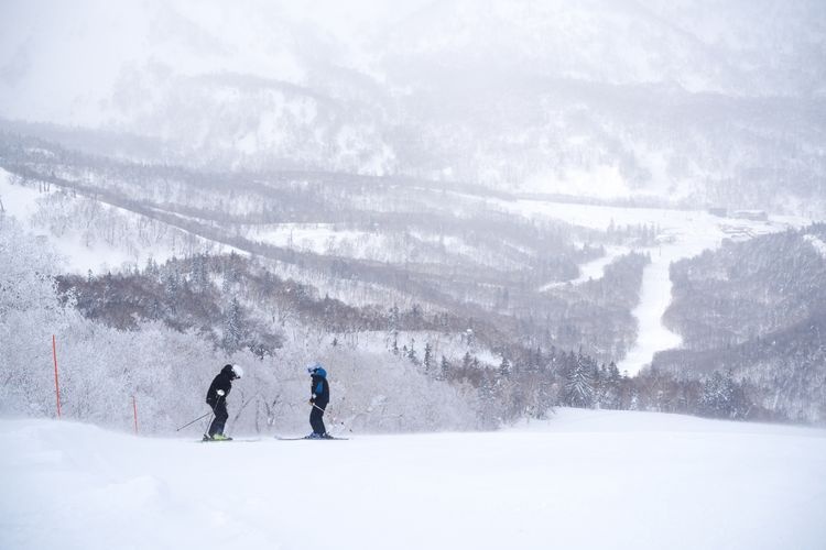 Kiroro Snow World 3
