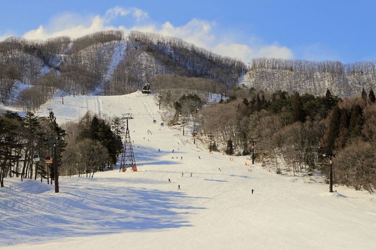 Hakuba Iwatake Snow Field