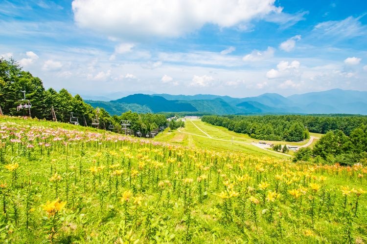 Hunter Mountain Shiobara