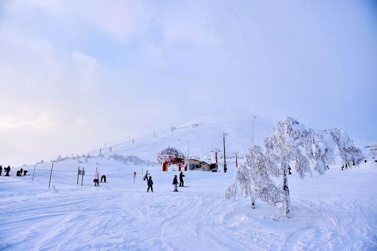 Niseko Mountain Resort Grand Hirafu