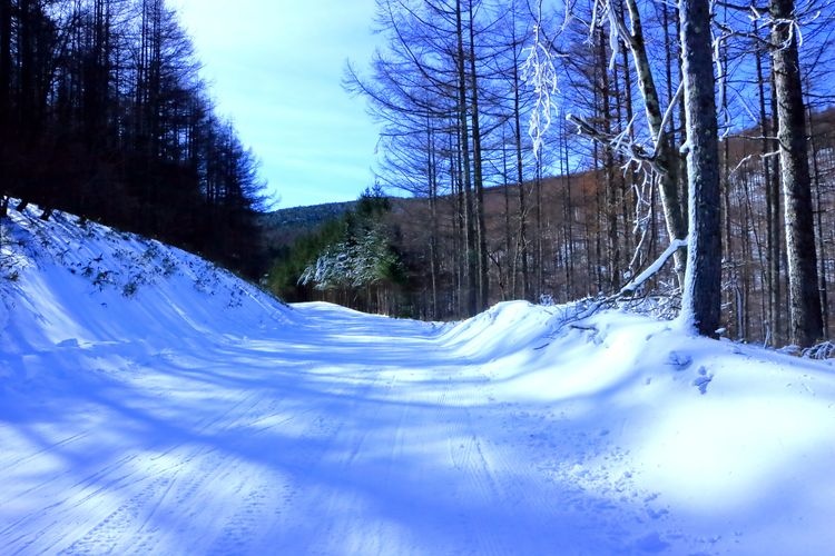 Blanche Takayama Ski Resort