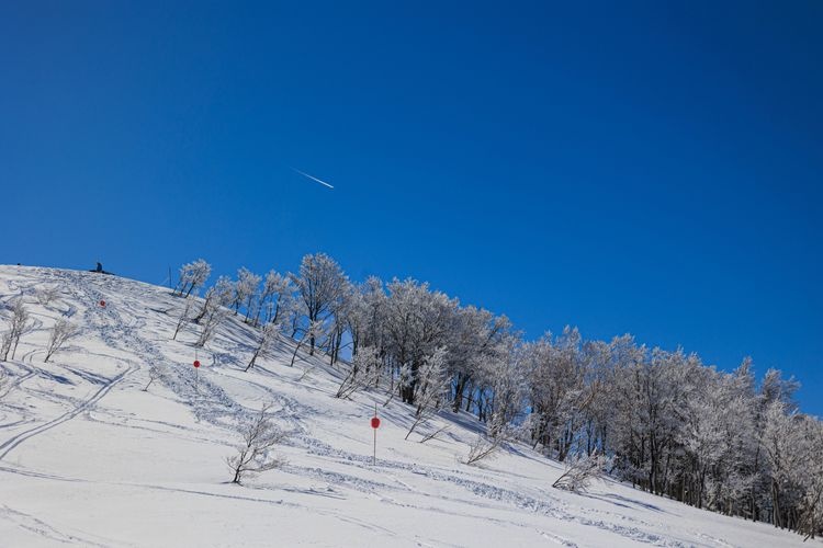 Ski Jam Katsuyama 3