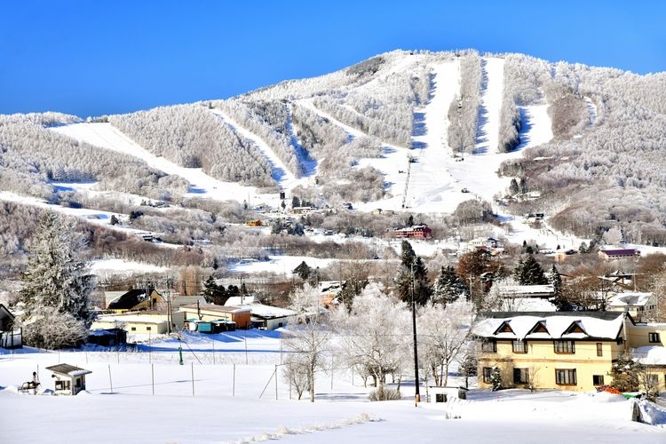 Sugadaira Kogen Snow Resort