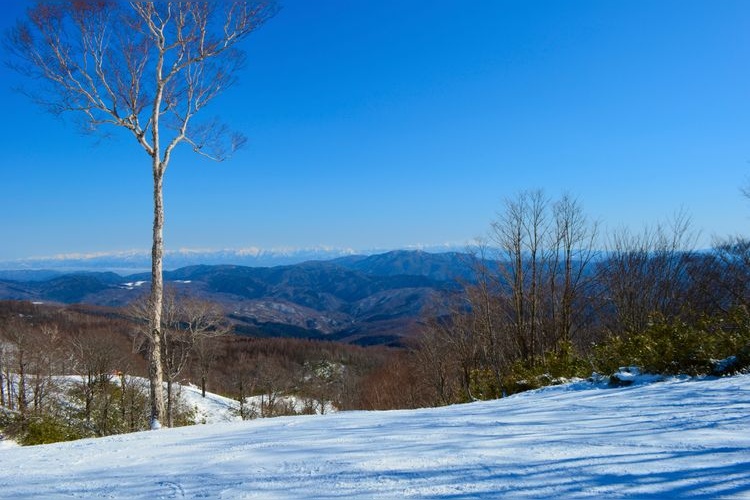 Meiho Ski Resort