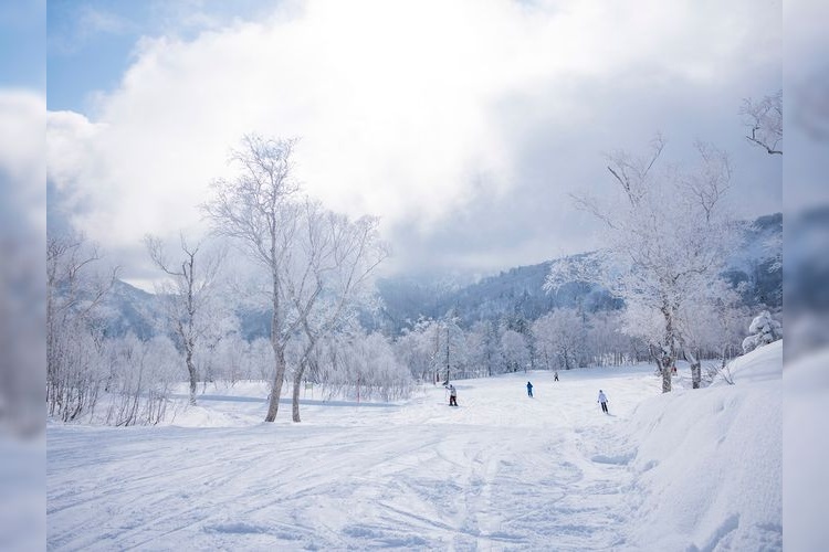 Minowa Ski Resort