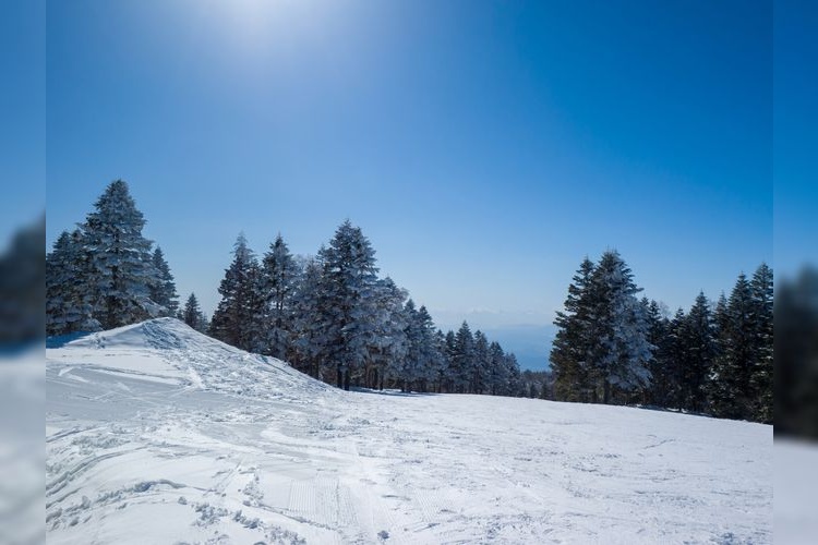 류오 스키 파크 (Ryuoh Ski Park)
