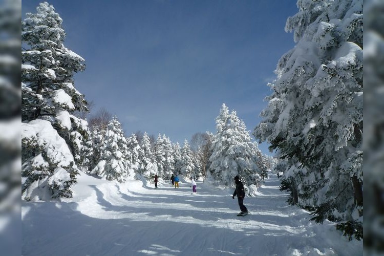 Ryuoo Ski Park