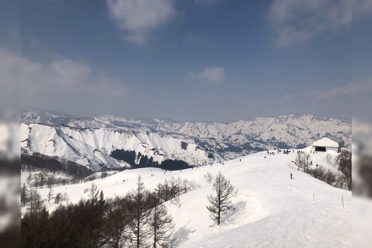 마이코 스노우 리조트