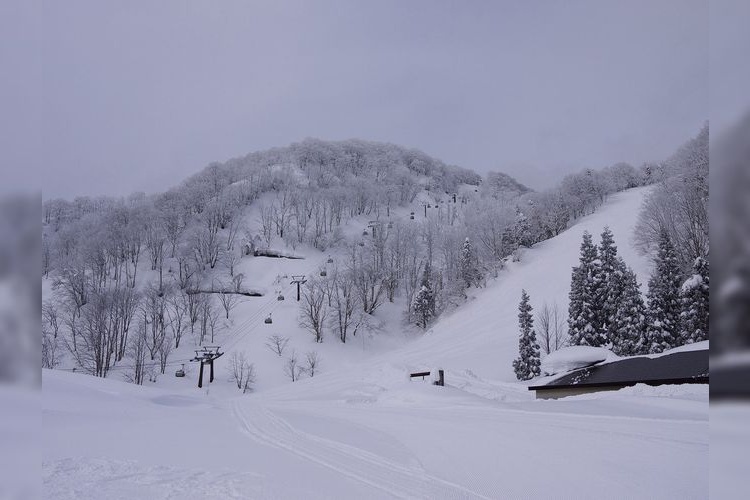 Akakura Onsen Ski Resort