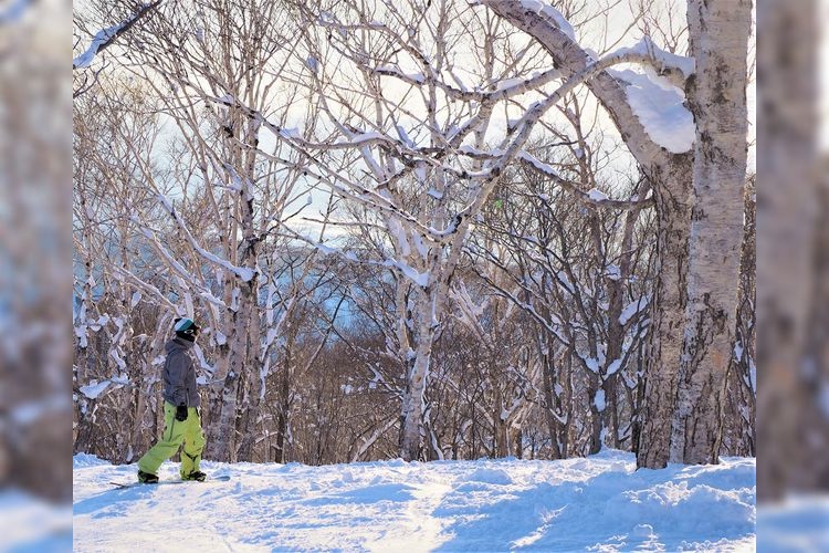 Niseko Village Ski Resort