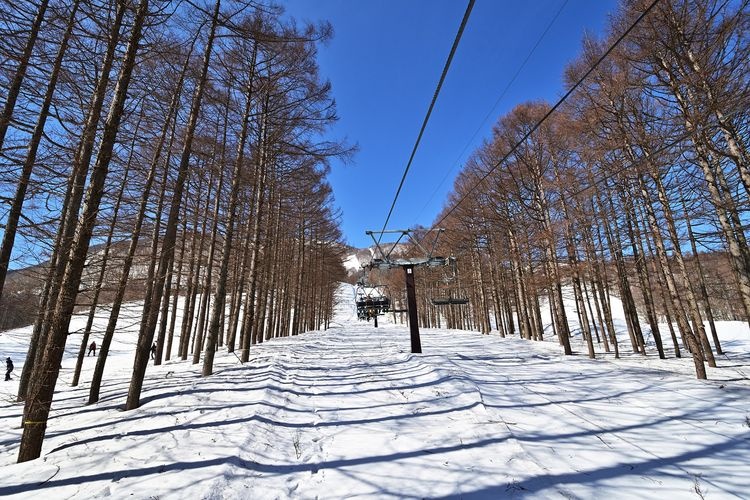 Kurohime Kogen Snow Park