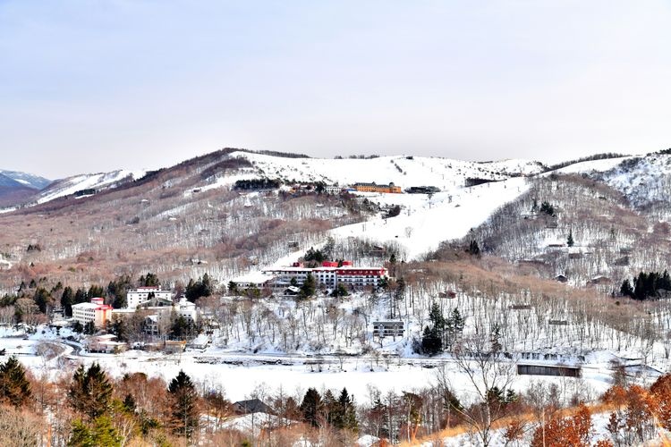 Shirakabaiko Royal Hill Ski Resort