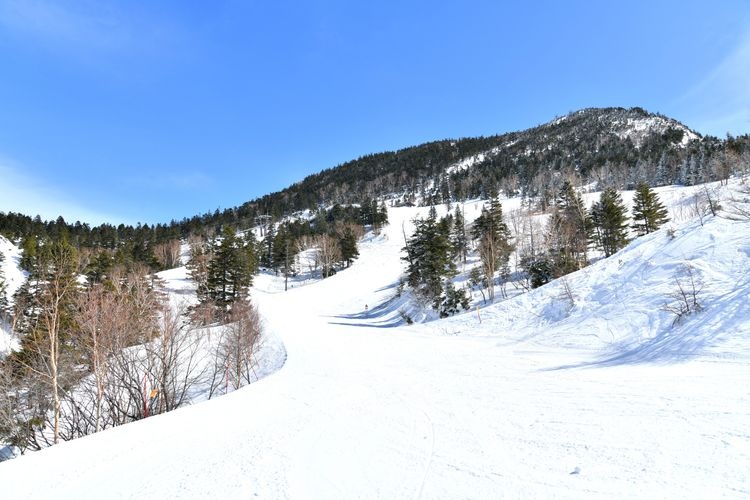 Shiga Kogen Yokoteyama Ski Resort 3