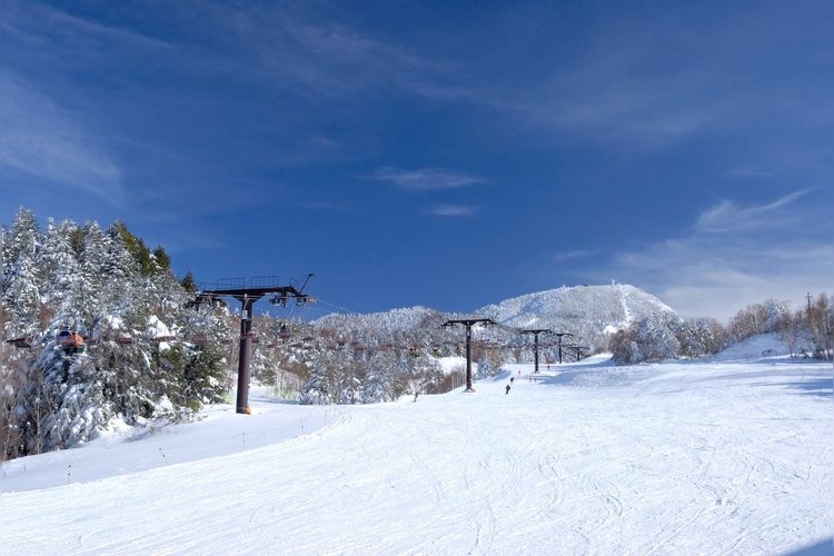 Yokoteyama & Shibutouge Ski Resort