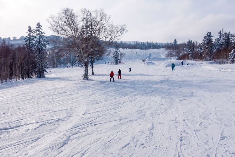 Pippu Ski Resort