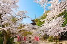 Tourist destination images of Kiyomizu-dera Temple(2)