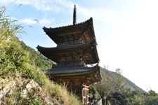 Tourist destination images of Otakiyaman Fukushouji Temple(3)