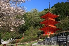 Tourist destination images of Chohuku-ji Temple(2)