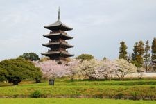 Tourist destination images of Bizen Kokubun-ji Temple(2)