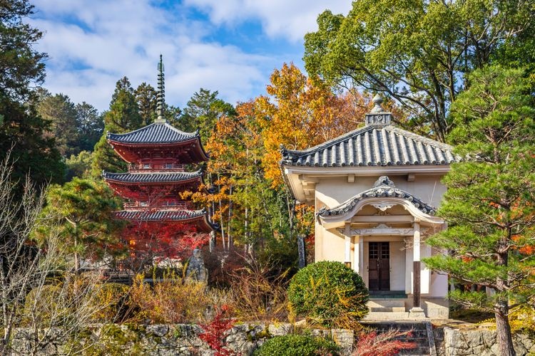 Tourist destination images of Iyama Hōfuku-ji Temple(2)